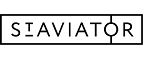 Логотип Staviator